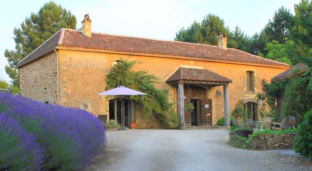 Chambres d'Hôtes Léone Haute Saint-Avit-Rivière Extérieur photo